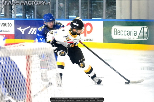 2024-09-28 Mastini Varese-Fassa Falcons 02372 Pietro Borghi